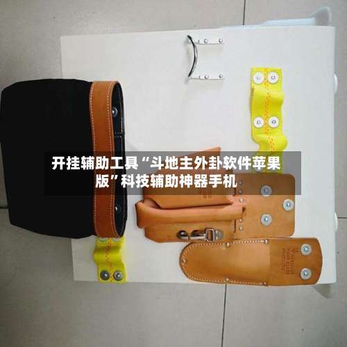 开挂辅助工具“斗地主外卦软件苹果版”科技辅助神器手机-第1张图片