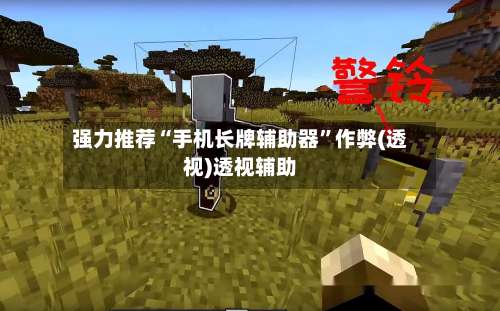 强力推荐“手机长牌辅助器	”作弊(透视)透视辅助-第2张图片