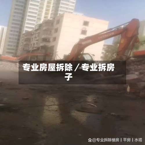 专业房屋拆除／专业拆房子-第1张图片