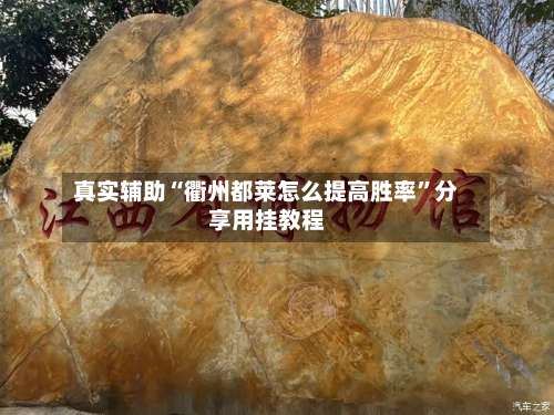 真实辅助“衢州都莱怎么提高胜率	”分享用挂教程-第1张图片