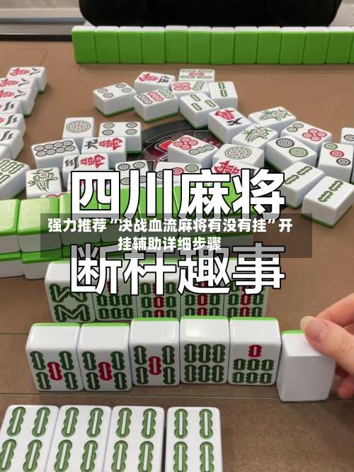 强力推荐“决战血流麻将有没有挂”开挂辅助详细步骤-第3张图片