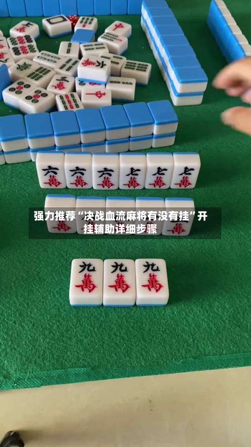 强力推荐“决战血流麻将有没有挂	”开挂辅助详细步骤-第1张图片