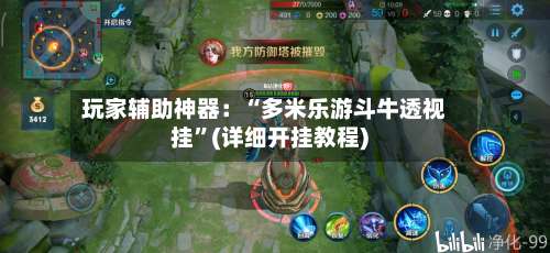 玩家辅助神器：“多米乐游斗牛透视挂”(详细开挂教程)-第2张图片