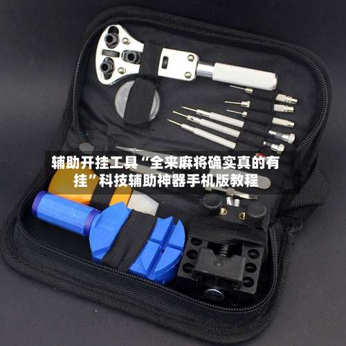 辅助开挂工具“全来麻将确实真的有挂	”科技辅助神器手机版教程-第2张图片