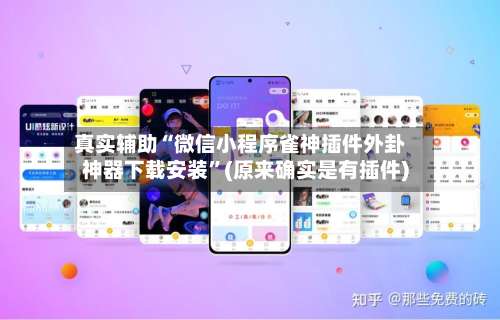 真实辅助“微信小程序雀神插件外卦神器下载安装”(原来确实是有插件)-第1张图片