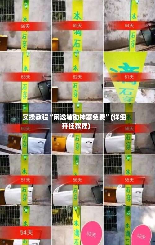 实操教程“闲逸辅助神器免费”(详细开挂教程)-第2张图片