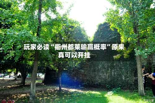 玩家必读“衢州都莱输赢概率”原来真可以开挂-第2张图片