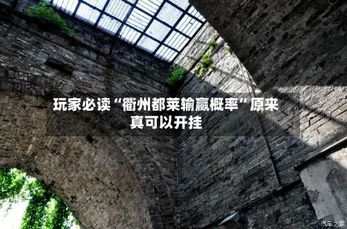 玩家必读“衢州都莱输赢概率”原来真可以开挂-第3张图片