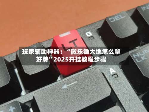 玩家辅助神器：“微乐锄大地怎么拿好牌	”2025开挂教程步骤-第2张图片