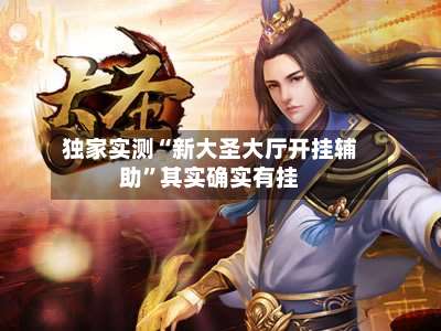 独家实测“新大圣大厅开挂辅助”其实确实有挂-第1张图片