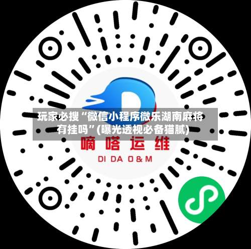 玩家必搜“微信小程序微乐湖南麻将有挂吗”(曝光透视必备猫腻)-第3张图片