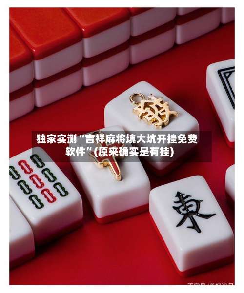 独家实测“吉祥麻将填大坑开挂免费软件”(原来确实是有挂)-第1张图片