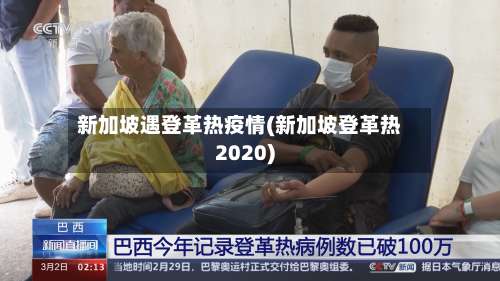 新加坡遇登革热疫情(新加坡登革热2020)-第1张图片