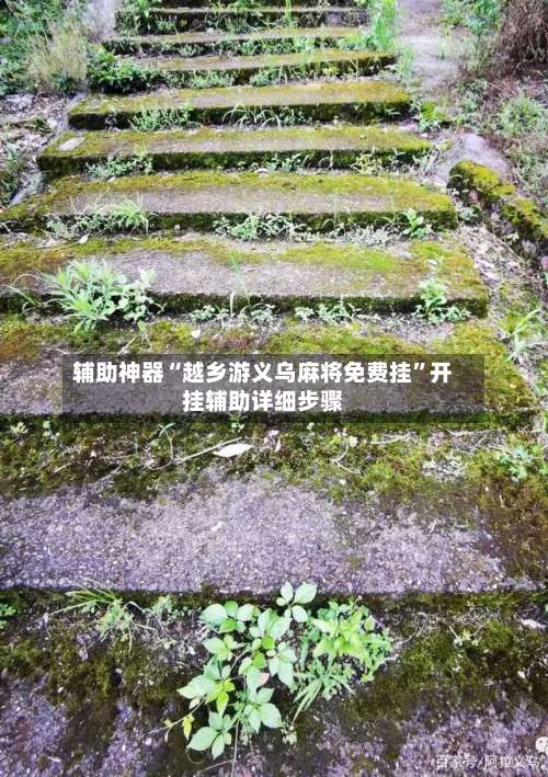 辅助神器“越乡游义乌麻将免费挂”开挂辅助详细步骤-第2张图片