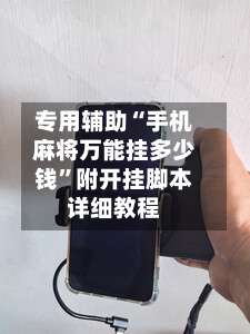 专用辅助“手机麻将万能挂多少钱”附开挂脚本详细教程-第3张图片