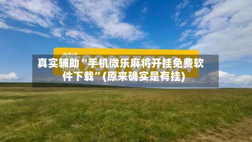 真实辅助“手机微乐麻将开挂免费软件下载	”(原来确实是有挂)-第2张图片