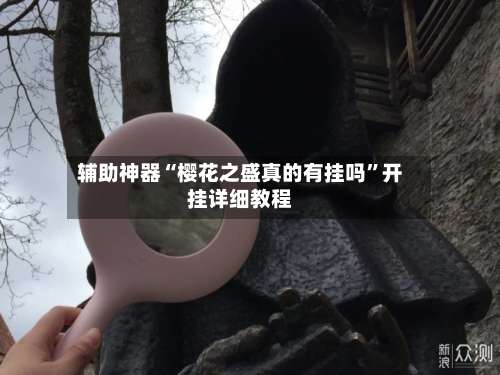 辅助神器“樱花之盛真的有挂吗”开挂详细教程-第2张图片