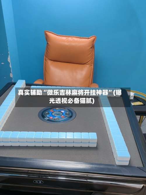 真实辅助“微乐吉林麻将开挂神器”(曝光透视必备猫腻)-第1张图片