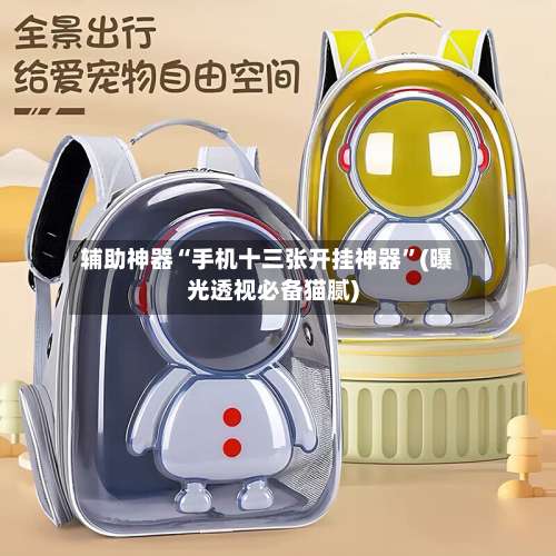 辅助神器“手机十三张开挂神器	”(曝光透视必备猫腻)-第1张图片