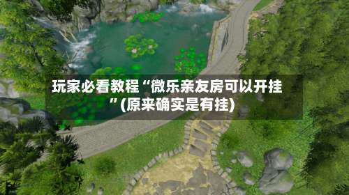 玩家必看教程“微乐亲友房可以开挂”(原来确实是有挂)-第3张图片