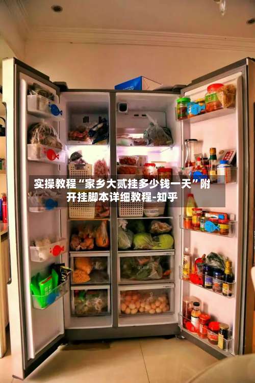 实操教程“家乡大贰挂多少钱一天”附开挂脚本详细教程-知乎-第2张图片