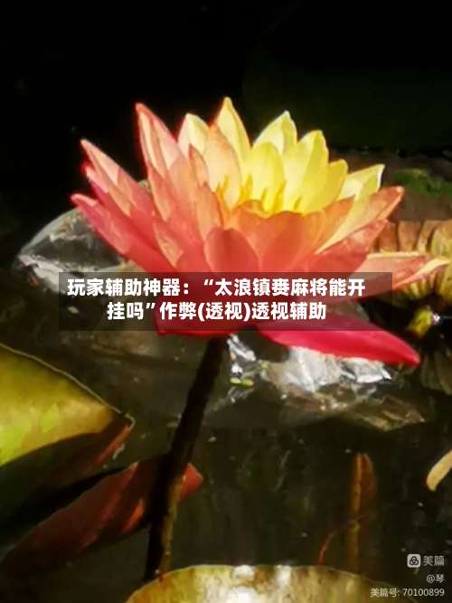 玩家辅助神器：“太浪镇赉麻将能开挂吗	”作弊(透视)透视辅助-第2张图片