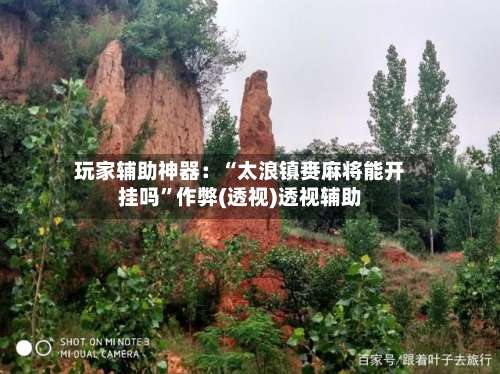 玩家辅助神器：“太浪镇赉麻将能开挂吗”作弊(透视)透视辅助-第1张图片