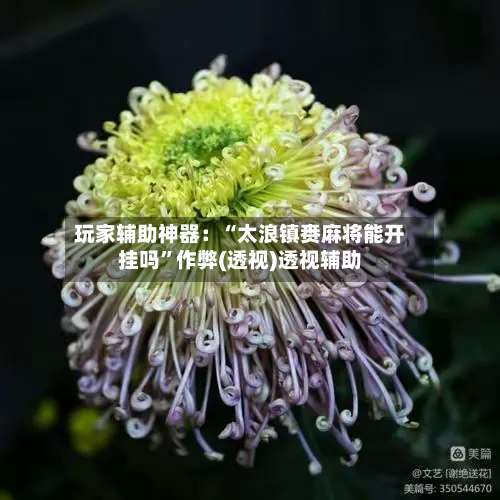 玩家辅助神器：“太浪镇赉麻将能开挂吗”作弊(透视)透视辅助-第3张图片