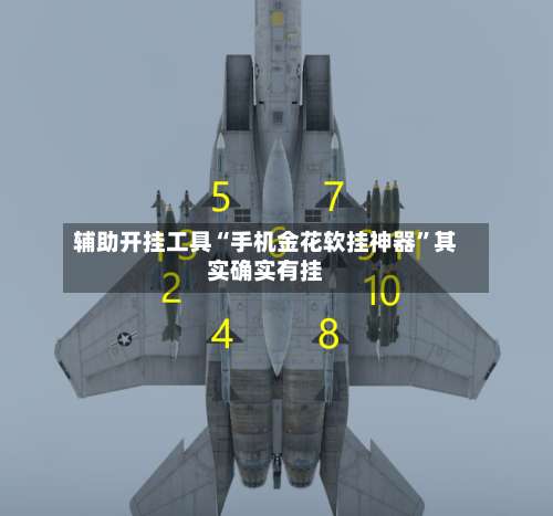 辅助开挂工具“手机金花软挂神器	”其实确实有挂-第2张图片