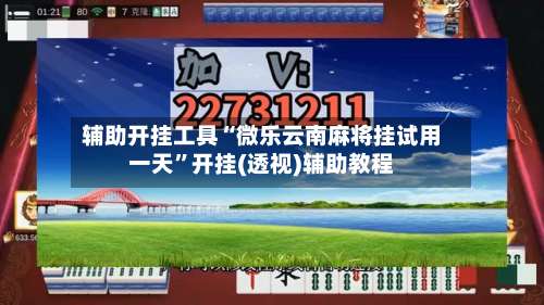 辅助开挂工具“微乐云南麻将挂试用一天”开挂(透视)辅助教程-第1张图片