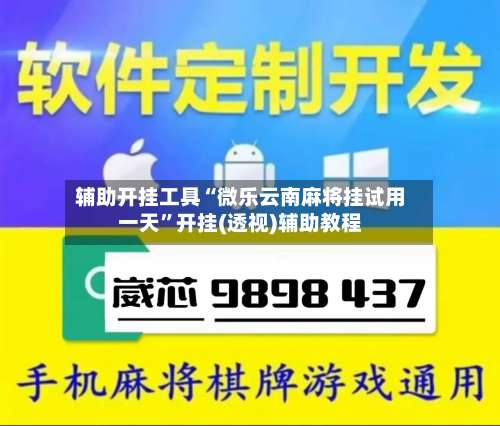辅助开挂工具“微乐云南麻将挂试用一天”开挂(透视)辅助教程-第2张图片