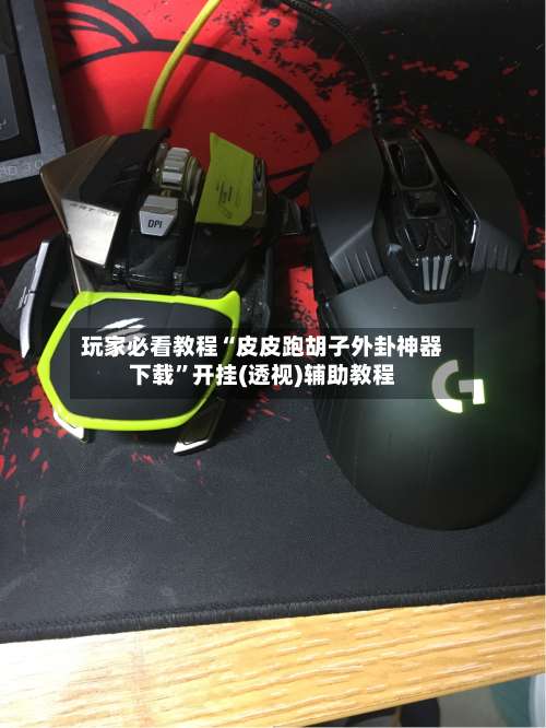 玩家必看教程“皮皮跑胡子外卦神器下载	”开挂(透视)辅助教程-第2张图片