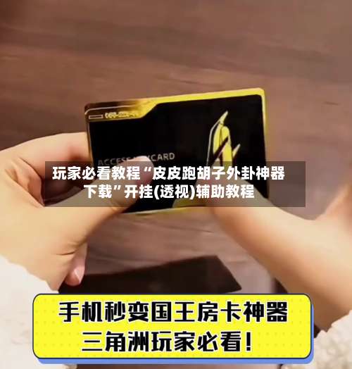 玩家必看教程“皮皮跑胡子外卦神器下载”开挂(透视)辅助教程-第1张图片