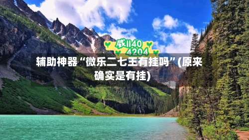 辅助神器“微乐二七王有挂吗”(原来确实是有挂)-第1张图片