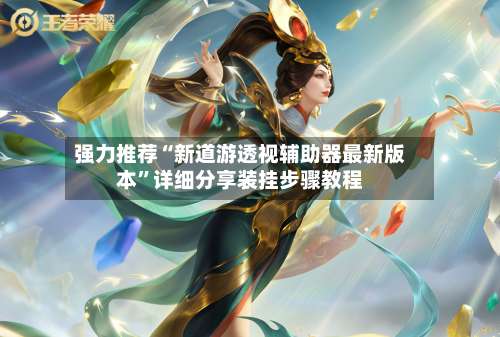 强力推荐“新道游透视辅助器最新版本”详细分享装挂步骤教程-第2张图片