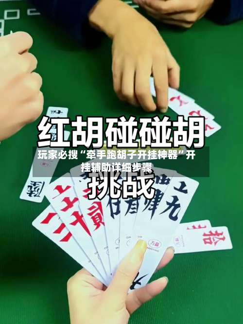 玩家必搜“牵手跑胡子开挂神器”开挂辅助详细步骤-第3张图片