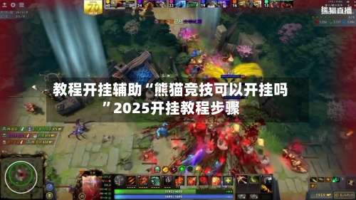 教程开挂辅助“熊猫竞技可以开挂吗”2025开挂教程步骤-第2张图片