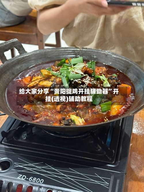 给大家分享“贵阳捉鸡开挂辅助器”开挂(透视)辅助教程-第2张图片