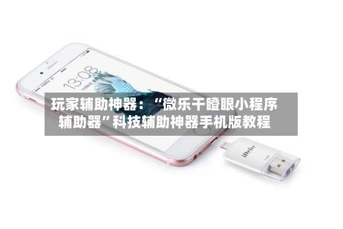 玩家辅助神器：“微乐干瞪眼小程序辅助器”科技辅助神器手机版教程-第1张图片