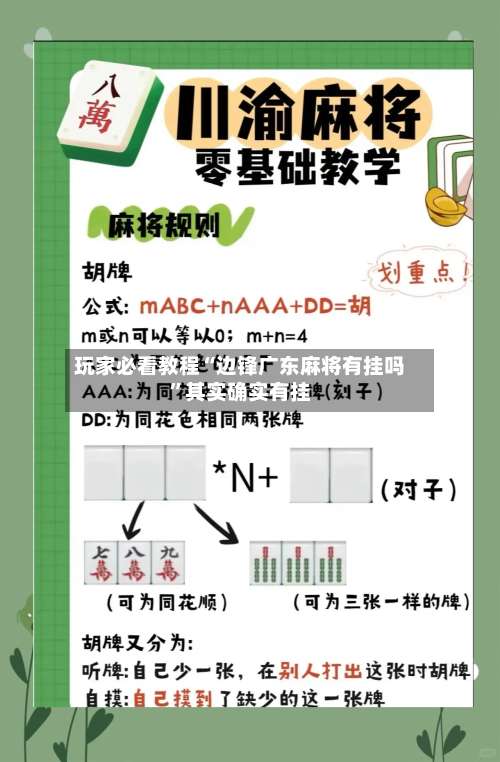 玩家必看教程“边锋广东麻将有挂吗	”其实确实有挂-第2张图片