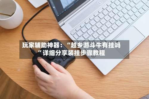 玩家辅助神器：“越乡游斗牛有挂吗”详细分享装挂步骤教程-第1张图片