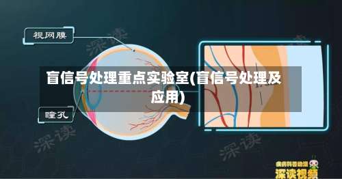 盲信号处理重点实验室(盲信号处理及应用)-第2张图片