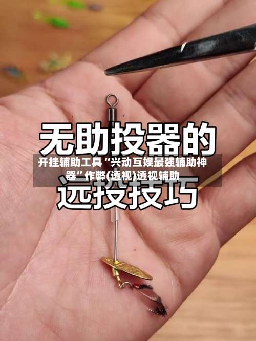 开挂辅助工具“兴动互娱最强辅助神器”作弊(透视)透视辅助-第3张图片