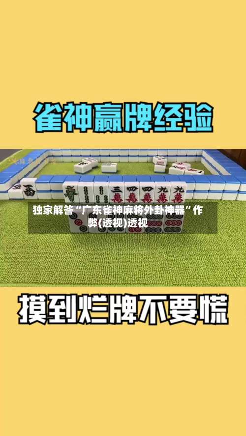 独家解答“广东雀神麻将外卦神器”作弊(透视)透视-第3张图片