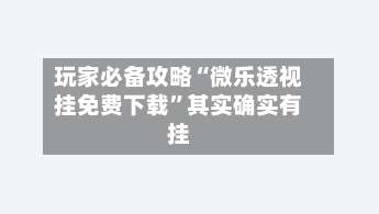 玩家必备攻略“微乐透视挂免费下载	”其实确实有挂-第1张图片
