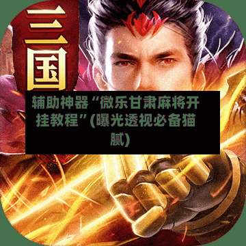 辅助神器“微乐甘肃麻将开挂教程	”(曝光透视必备猫腻)-第3张图片