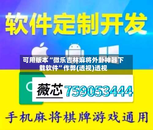 可用版本“微乐吉林麻将外卦神器下载软件	”作弊(透视)透视-第2张图片