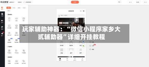 玩家辅助神器：“微信小程序家乡大贰辅助器”详细开挂教程-第1张图片