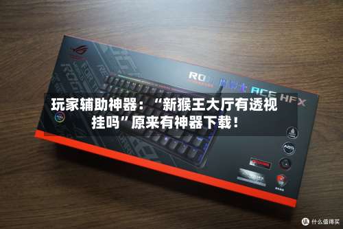 玩家辅助神器：“新猴王大厅有透视挂吗	”原来有神器下载！-第2张图片