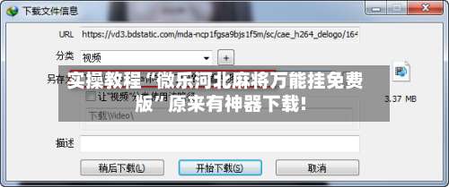 实操教程“微乐河北麻将万能挂免费版”原来有神器下载!-第3张图片